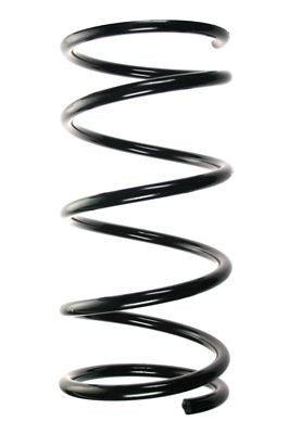 Spyruoklė SPIDAN 55536