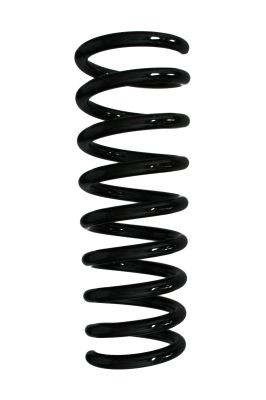 Spyruoklė SPIDAN 55571