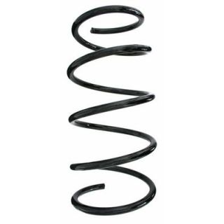 Spyruoklė SPIDAN 55613