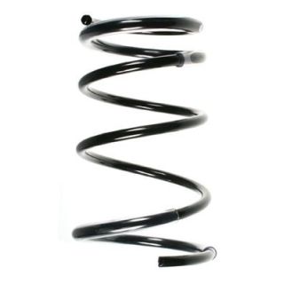 Spyruoklė SPIDAN 55678