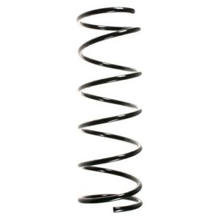 Spyruoklė SPIDAN 55685