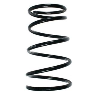 Spyruoklė SPIDAN 55695