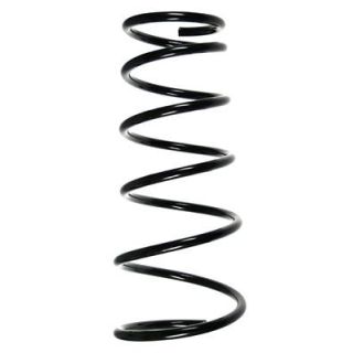 Spyruoklė SPIDAN 55697