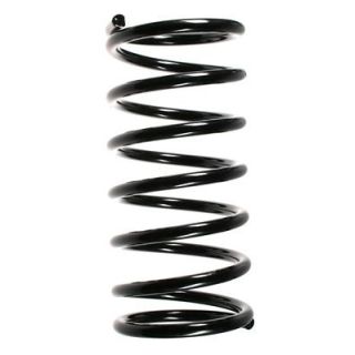 Spyruoklė SPIDAN 55766