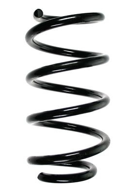 Spyruoklė SPIDAN 55941