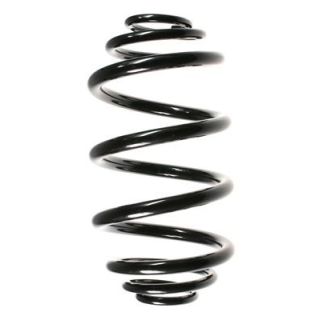 Spyruoklė SPIDAN 55943