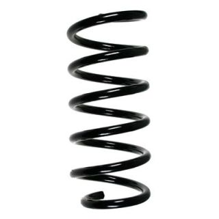 Spyruoklė SPIDAN 55947