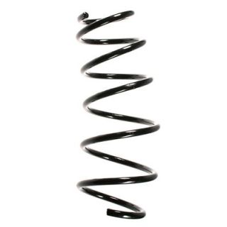 Spyruoklė SPIDAN 56033