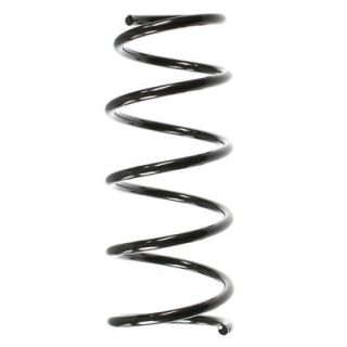 Spyruoklė SPIDAN 56169