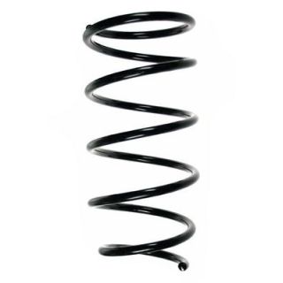 Spyruoklė SPIDAN 56243