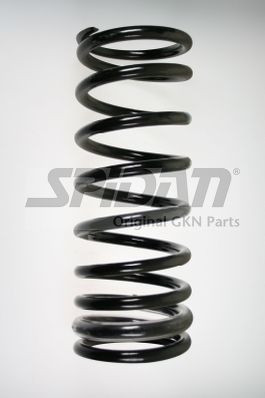 Spyruoklė SPIDAN 56271