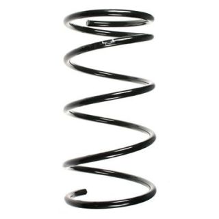 Spyruoklė SPIDAN 56738