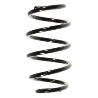 Spyruoklė SPIDAN 56800