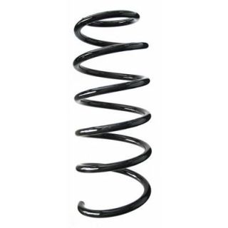 Spyruoklė SPIDAN 56813