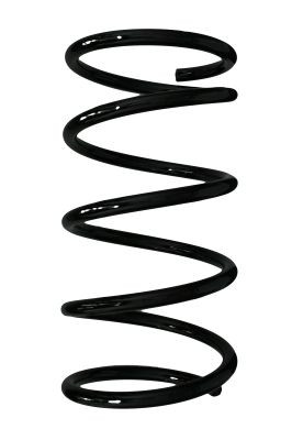 Spyruoklė SPIDAN 85093