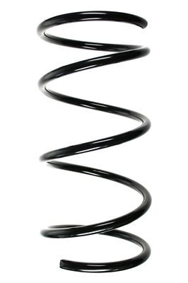 Spyruoklė SPIDAN 85104