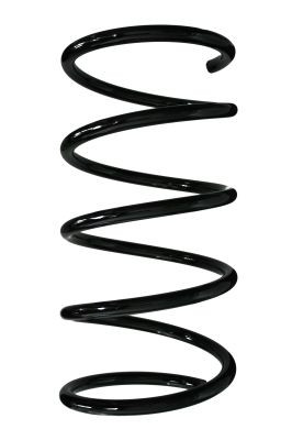 Spyruoklė SPIDAN 85110