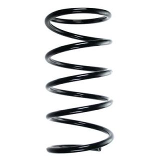 Spyruoklė SPIDAN 85152