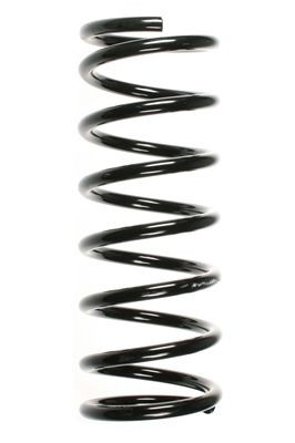 Spyruoklė SPIDAN 85162