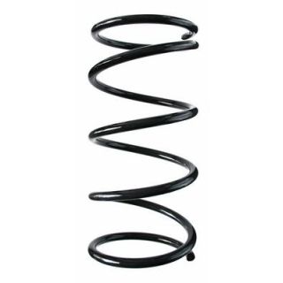 Spyruoklė SPIDAN 85170