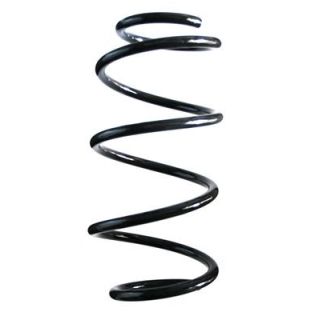 Spyruoklė SPIDAN 85565