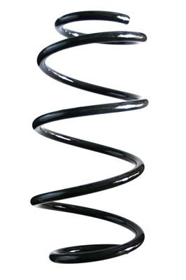 Spyruoklė SPIDAN 85565