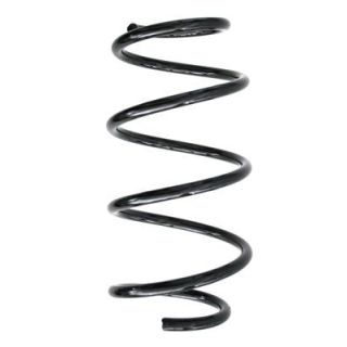 Spyruoklė SPIDAN 85566