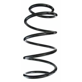 Spyruoklė SPIDAN 85617