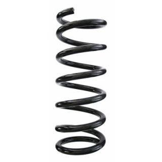 Spyruoklė SPIDAN 85620