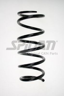 Spyruoklė SPIDAN 85659