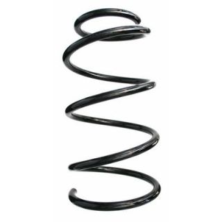 Spyruoklė SPIDAN 85713