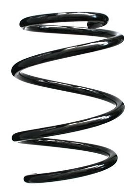 Spyruoklė SPIDAN 85730