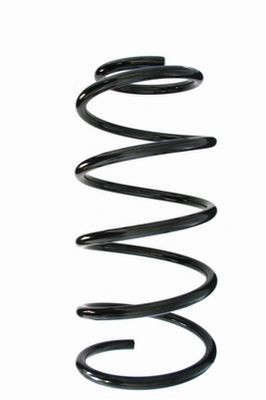 Spyruoklė SPIDAN 85805