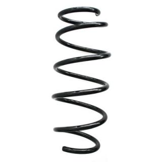 Spyruoklė SPIDAN 85850