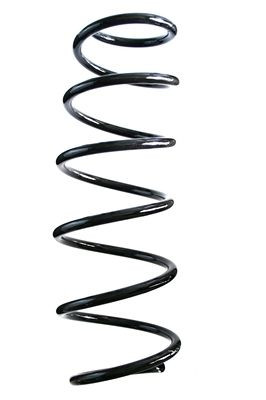 Spyruoklė SPIDAN 85853