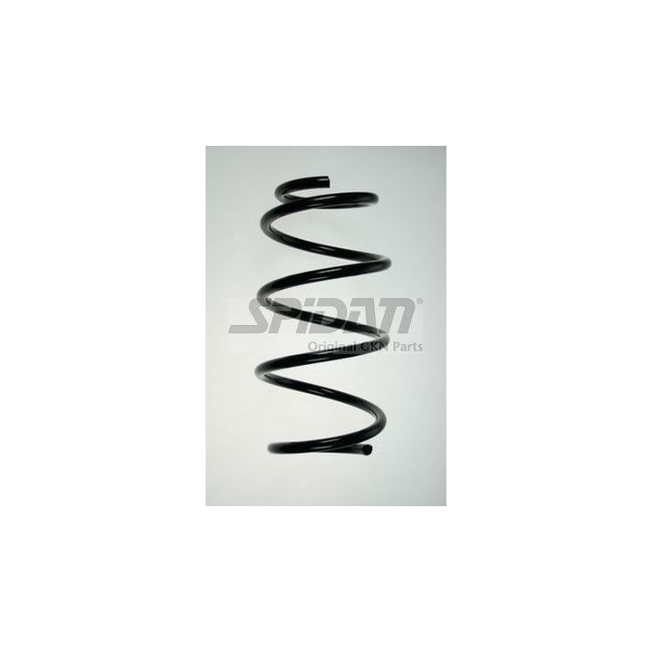 Spyruoklė SPIDAN 85860