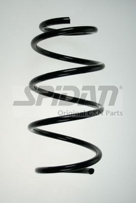 Spyruoklė SPIDAN 85860