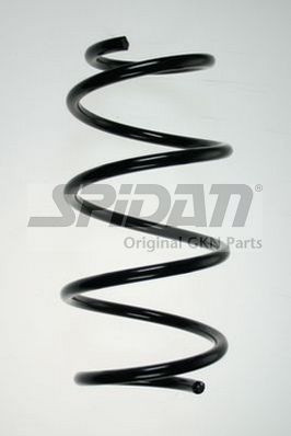 Spyruoklė SPIDAN 85915