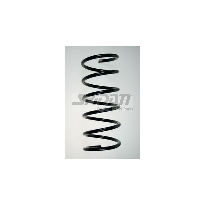 Spyruoklė SPIDAN 85918