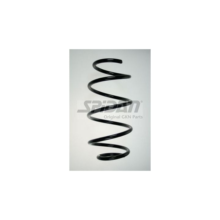 Spyruoklė SPIDAN 85922