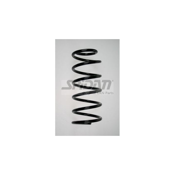 Spyruoklė SPIDAN 86365