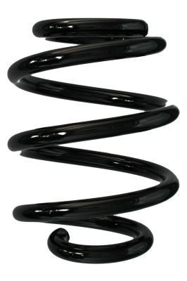 Spyruoklė SPIDAN 86549