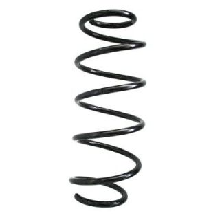 Spyruoklė SPIDAN 86813