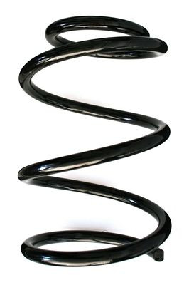 Spyruoklė SPIDAN 86833