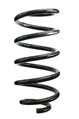 Spyruoklė SPIDAN 87000