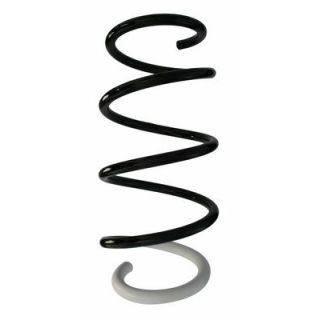 Spyruoklė SPIDAN 87724