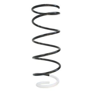 Spyruoklė SPIDAN 87808