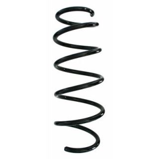 Spyruoklė SPIDAN 87828