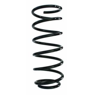 Spyruoklė SPIDAN 87834