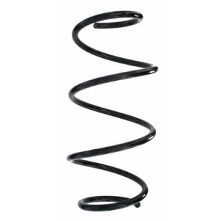 Spyruoklė SPIDAN 87865